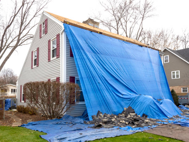 Best Historical Building Siding Restoration  in Berkley, MI